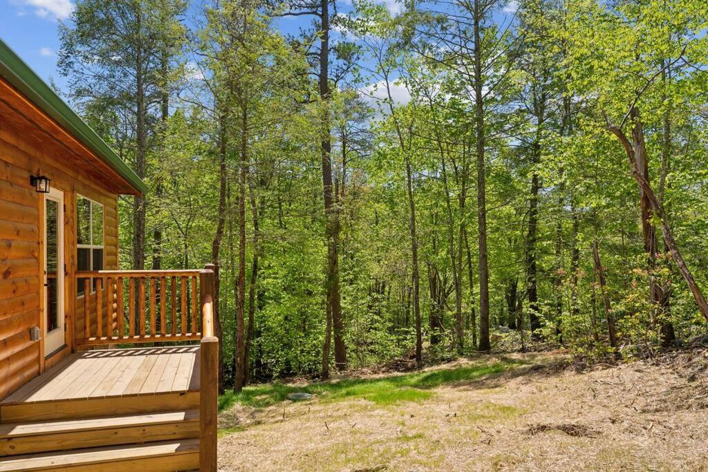 Baby Bear Den Villa Gatlinburg Ngoại thất bức ảnh
